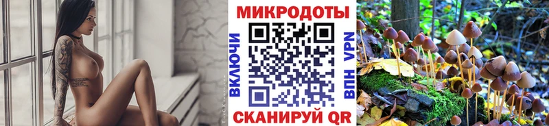 Псилоцибиновые грибы Psilocybine cubensis  как найти закладки  ссылка на мегу   Исилькуль 
